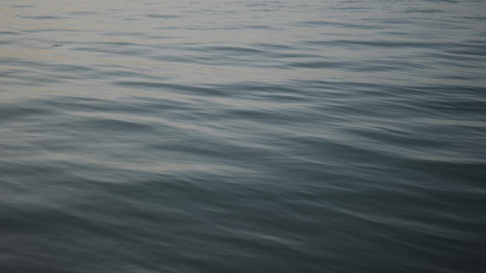 Calm, still water
