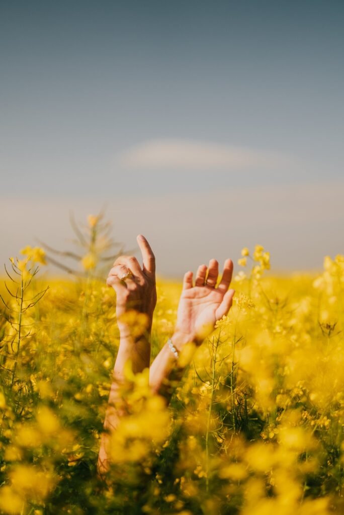 Reuben Mowle in a rapeseed field with his camera, Isle of Wight